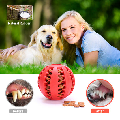 Interactive Tooth Cleaning Ball Toy