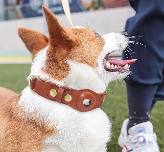 PETSLIFEGURU™ Durable Dog Leather AirTag Collar